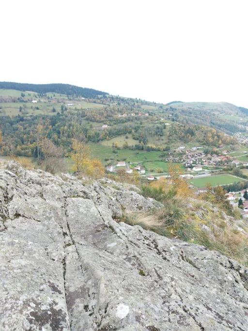 Appart6 Pers Garage Centre A 500M La Bresse Εξωτερικό φωτογραφία